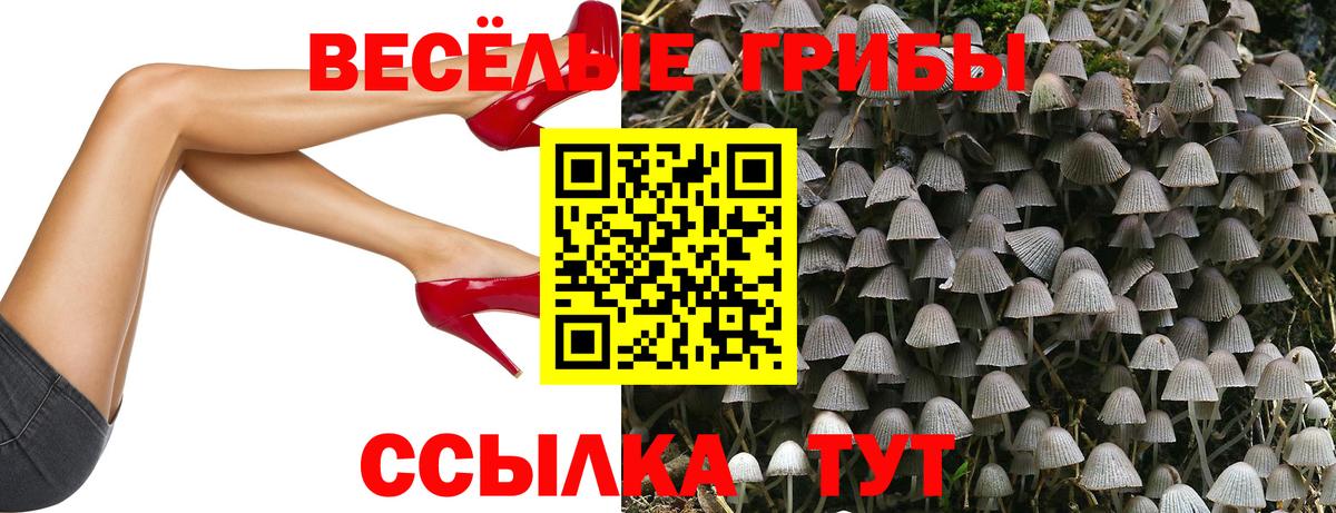 Псилоцибиновые грибы Cubensis  Вход с VPN  Галлюциногенные грибы мицелий  Гудермес 